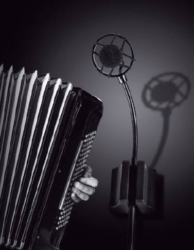 Prodipe AL21 - zestaw mikrofonów instrumentalnych - 4