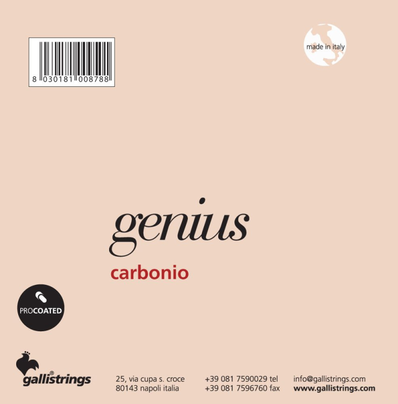 Galli GR95 Normal Tns - struny do gitary klasycznej - 2