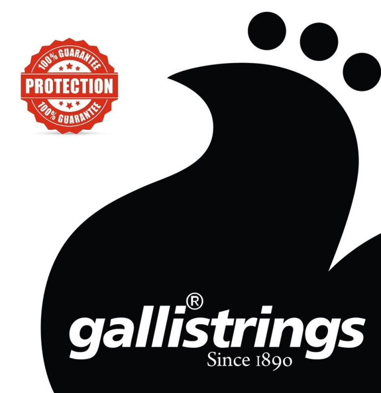 Galli RSB40100 - struny do gitary basowej - 2