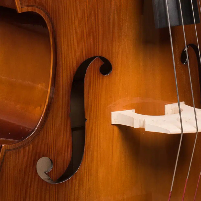 Hora B100 - Kontrabas 1/10 - 9