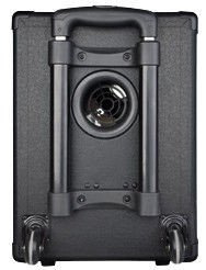 Joyo JPA-862 - przenośny wzmacniacz instrumentalny - 4