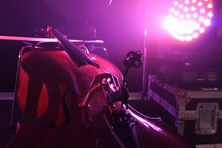 Prodipe CL21 - mikrofon instrumentalny - 4