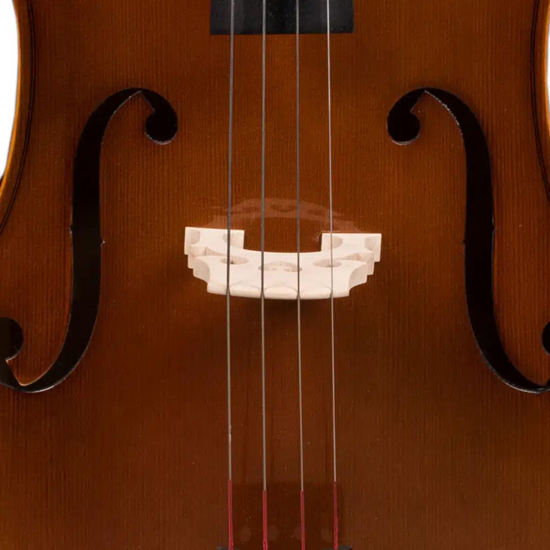 Hora C120 - wiolonczela 3/4 - 2