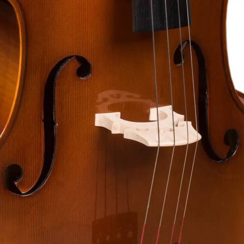 Hora C120 - wiolonczela 3/4 - 9