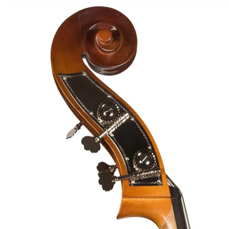 Hora B100 - kontrabas 1/8 - 5